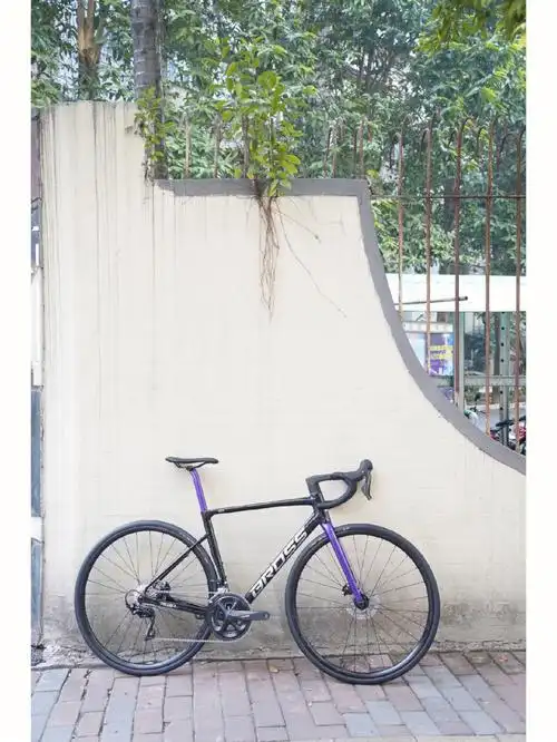 bross 国产精品公路自行车