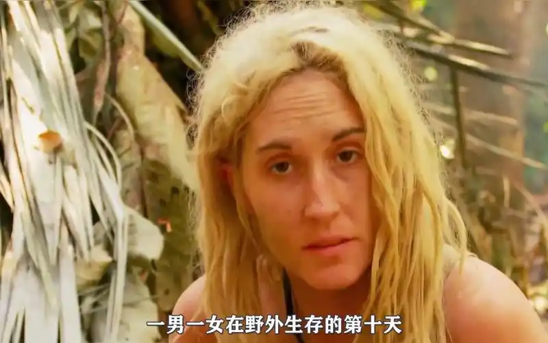原始生活21天:两个陌生人去荒野求生,还拿走了十万美元