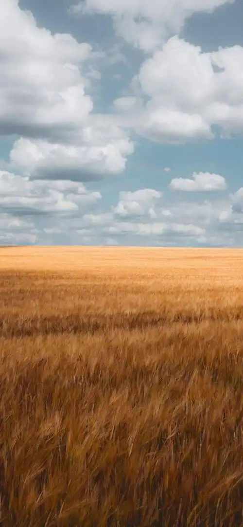 高清手机壁纸 | 唯美意境壁纸大图