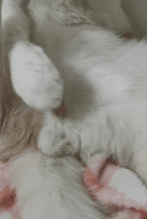 544_807竖版 竖屏gif 动态图 动图