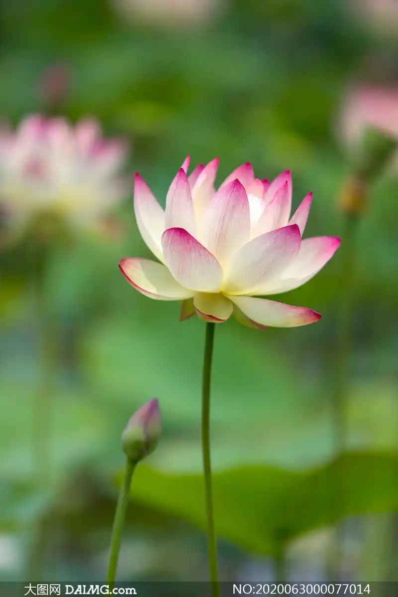 百度为创作者打造的集创作