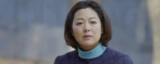 黄大妮建国第几集回家 电视剧内容介绍 - 新知分享