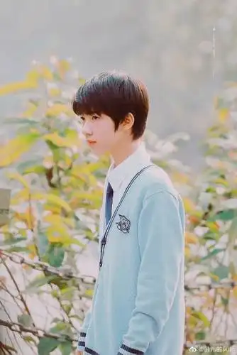 穿校服自成风景线的演员# 贺峻霖 好久. 来自彘儿的阿娇 - 微博