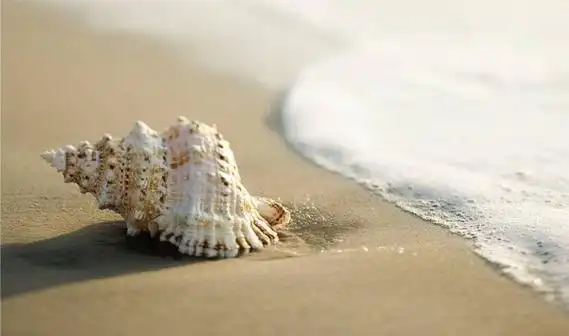 8张简单大方的女生微信头像图片