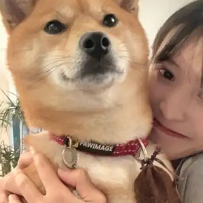 顾柒颖 一对两张对象不是人系列情头_情侣头像_我要个性网