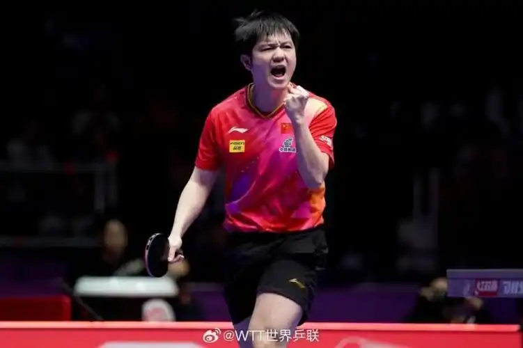 仅有佩尔森,孔令辉,张继科,丁宁,马龙等几名运动员