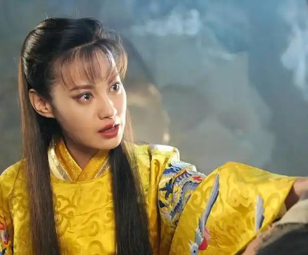 飞飞》,《小鱼儿与花无缺》和《人间正道是沧桑》等剧深受观众喜爱