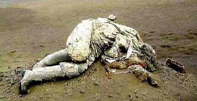 惨死后现场图曝光|罗布泊|彭加木|探险家|霸王龙|大海道|死亡之海