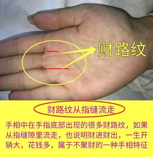 第一,手相财路纹理