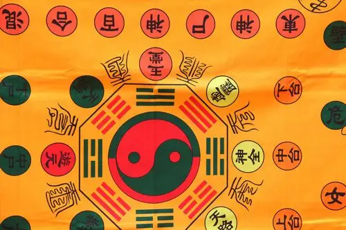 古道斋包邮国二十八星宿太极图家居玄关高功罡毯地垫