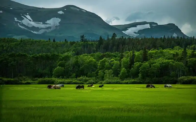 绿色清新护眼风景,高清图片,电脑桌面-壁纸族