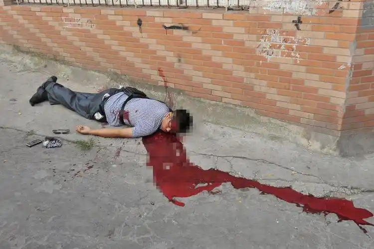 "8·10"案嫌犯周克华今晨被击毙