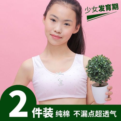少女文胸初中高中学生大童11-13-14-15-16岁发育期小背心纯棉内衣