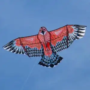 【钢鹰风筝图片】钢鹰风筝图片大全_q友网