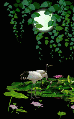 呀荷塘你慢慢慢慢唱哟月光呀月光你慢慢慢慢听哟鱼儿呀鱼儿游过了四季