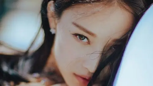 倪妮,美女,明星,宽屏,壁纸倪妮 高清宽屏壁纸壁纸图片