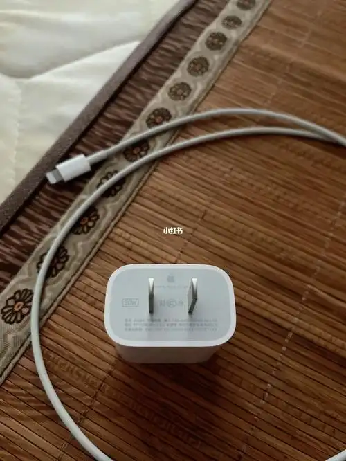 苹果12promax充电头