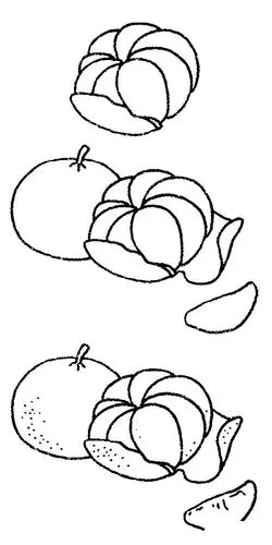 橘子简笔画图片画法