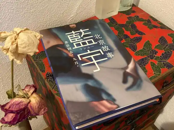 买到了蓝宇原著的日文译本