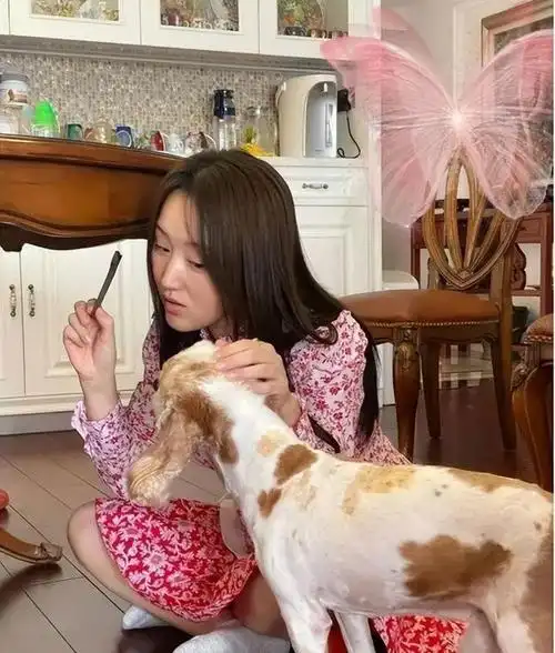 52岁杨钰莹的深圳豪宅火了养花种菜与狗相伴不亦快哉