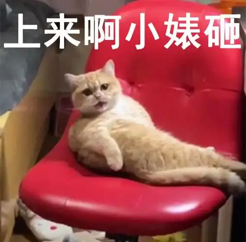 撩骚表情包:自然而然的骚,闪了哥哥的腰|恋爱|绿帽|骚气|小红帽_网易