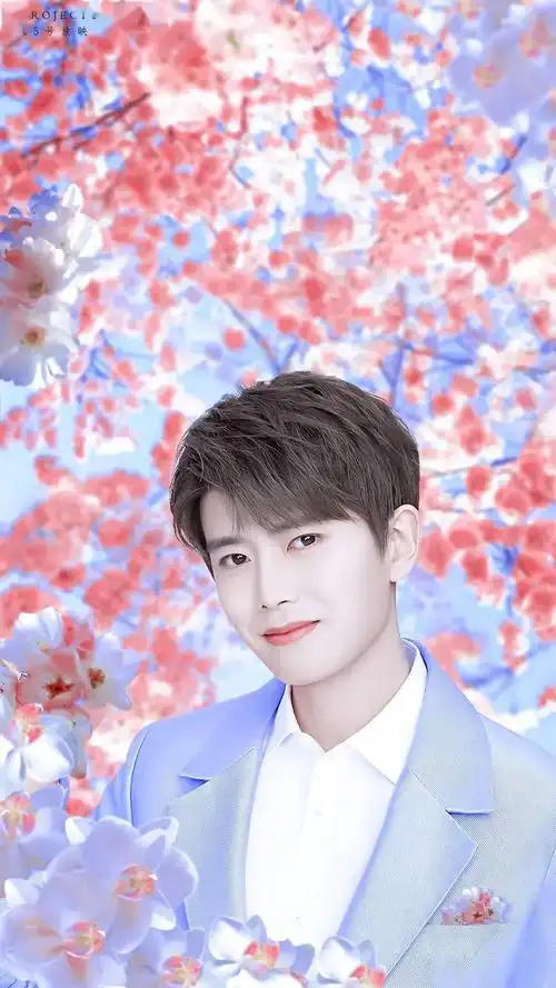 手机壁纸任嘉伦