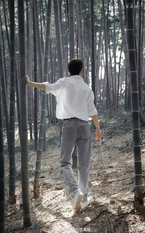 肖战超话竹林里穿行,阳光在他脸上眷恋不休,翠竹不甘示弱,以细碎的影