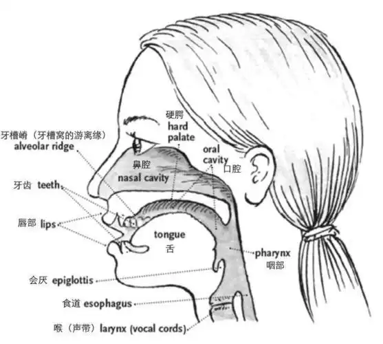 头腔共鸣是声乐发声的一种方法,沿袭了科学知识尚不发达的19世纪的