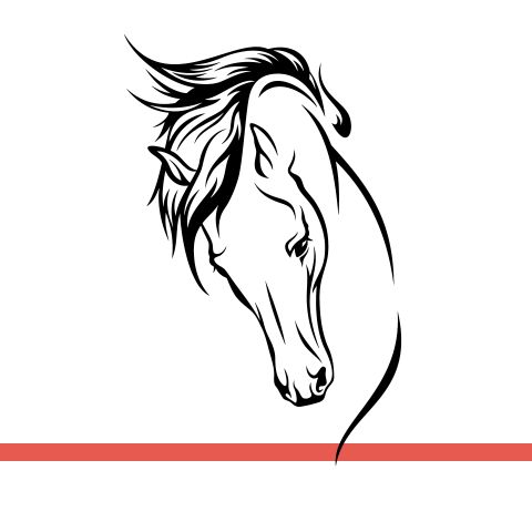 艺术马头线条图案墙贴画马术赛马运动玻璃定制镂空装饰自粘墙贴纸