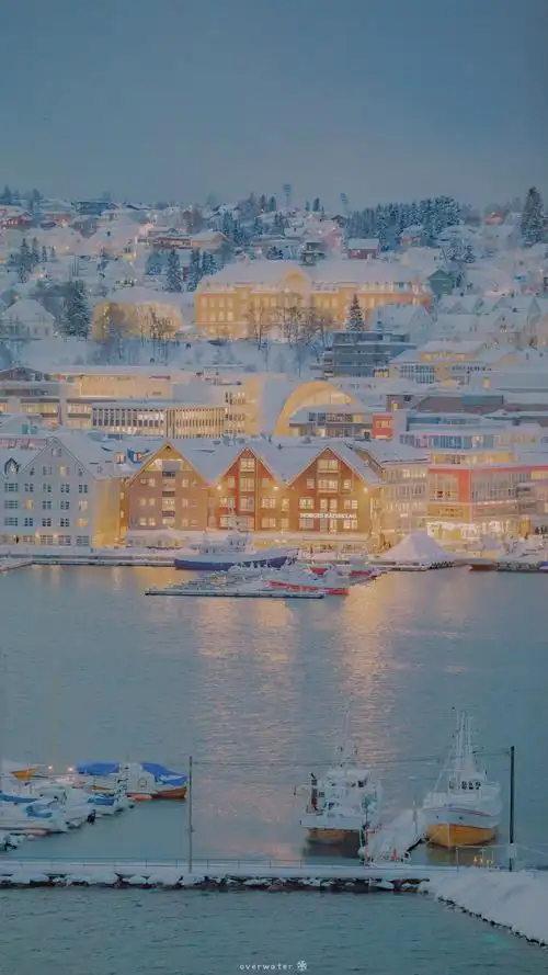 有没有好看的ins原宿风的电脑壁纸