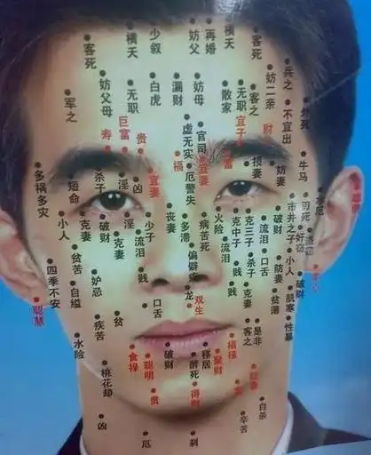 男人面部痣的位置与命运图1