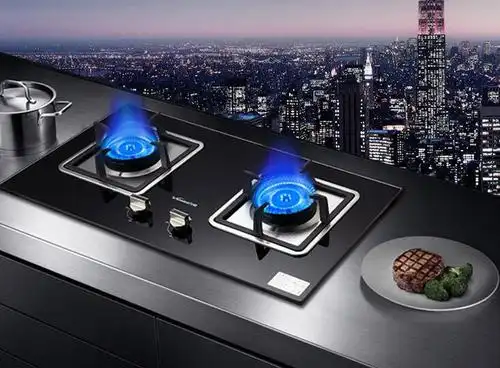 > 产品订购 >  燃气灶具 3.高品质阀体:行业标准起草单位,经久耐用.