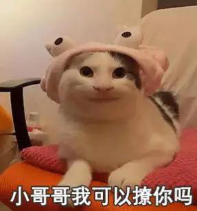 抖音我可以撩你吗表情包