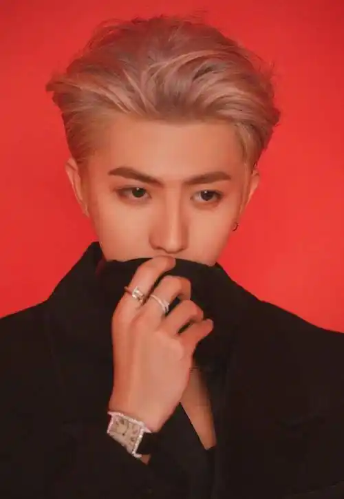 蔡徐坤长飘带西装,银发大背头,玫瑰气质贵公子_造型_黑色_look