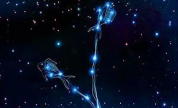 喜欢幻想的双鱼座,你们知道自己的问题在哪里吗?