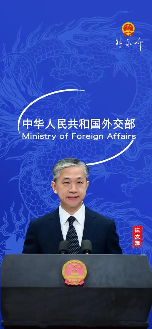 一次性全都给你们叭外交天团无水印壁纸中国外交天团超话#外交部