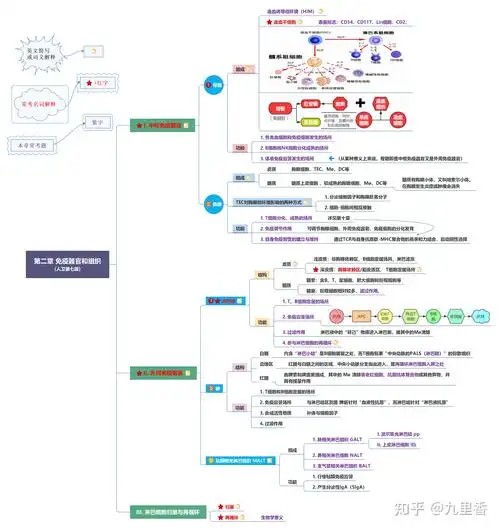 在哪里可以找到第七版医学免疫学的思维导图啊? - 知乎