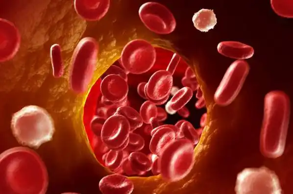 排血毒,还得用酵素! - 啊亮的主页