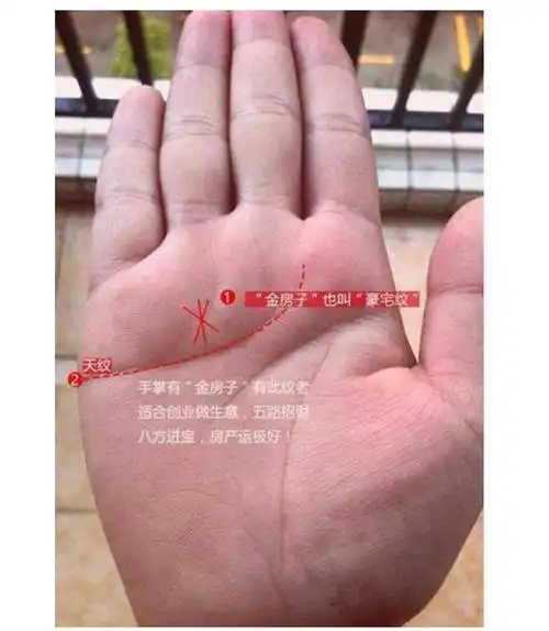 黑子纹必须拳头内,手心有黑子纹的人是天生的富贵命,会对自己所掌握的