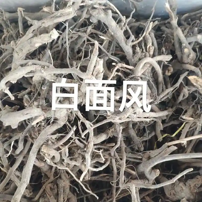 白面风一味好药材特别是煲汤极品什么功效懂