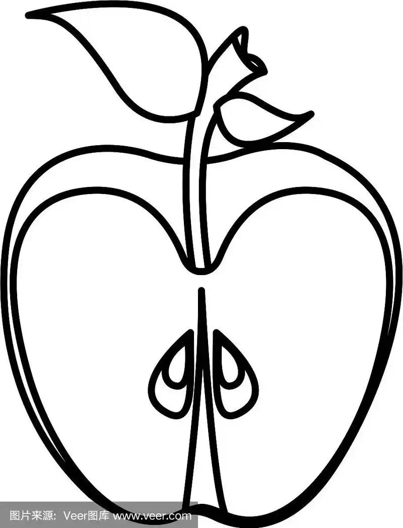 用素描剪影切片苹果水果食品