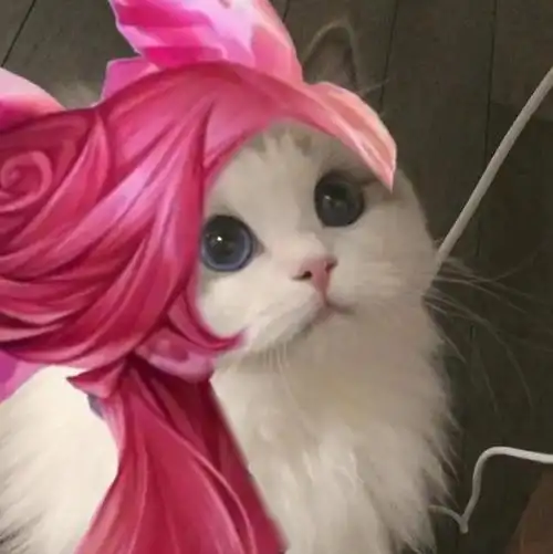 最近很火的王者荣耀猫头表情包大家看看哦(第四期)