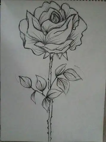 简笔画画初中学生