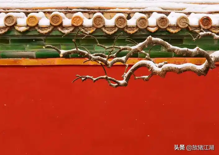 600年的紫禁城,一场大雪覆盖金瓦红墙,美得不动声色