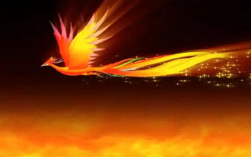 金凤凰火凤凰展翅飞翔(8m15s)led屏背景墙视频-全十古云2187