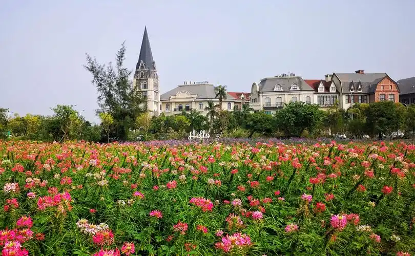 美的鹭湖爱丽丝庄园开心一日游