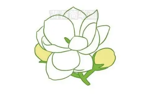 茉莉花简笔画 茉莉花简笔画简单又好看