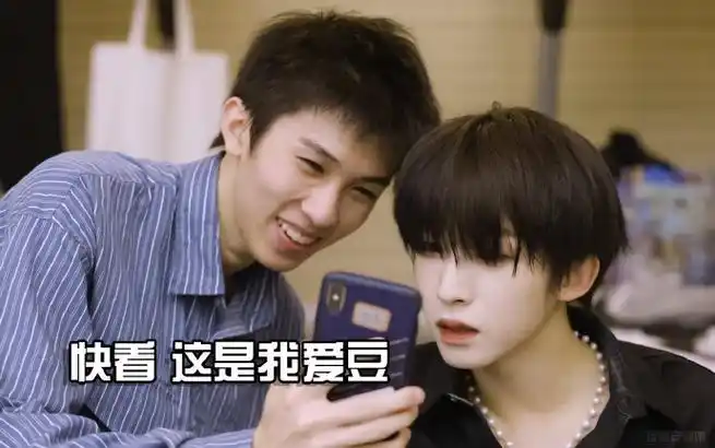 收集一些林墨表情包