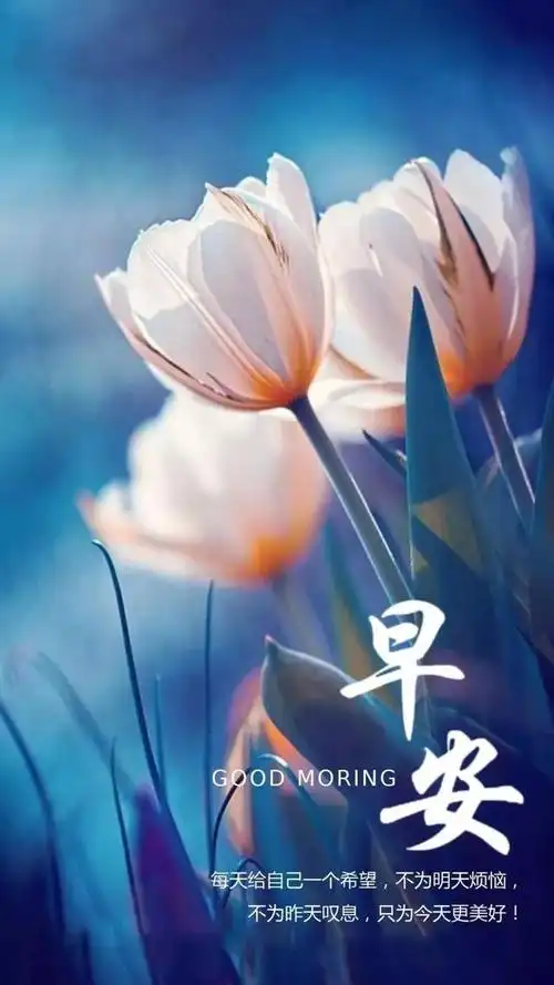 早上问候新的一天新的太阳新的空气新的问候早安