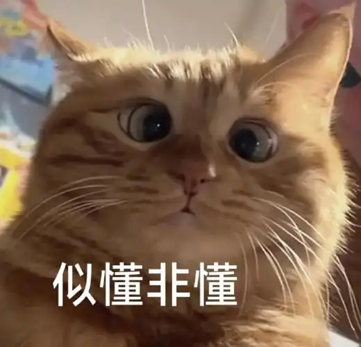 早呀~大家这几天看奥运会了吗?